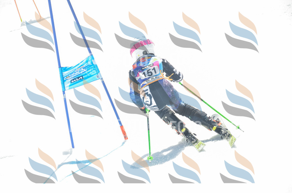 _ELE6320 | holidayphoto