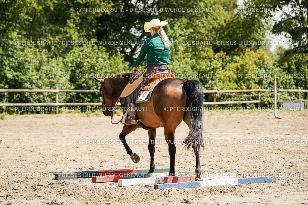 DSC09371 | Pferdegrafie