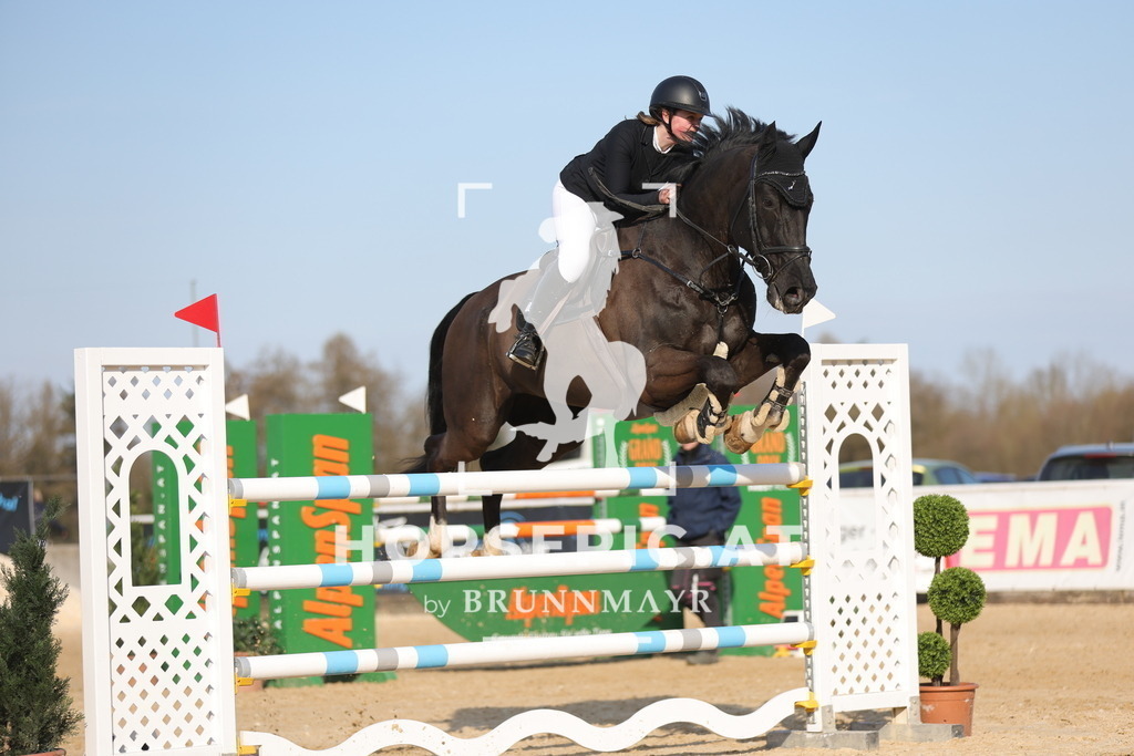 0P6A2987 | Willkommen bei Brunnmayr - Design & Fotografie – Ihrem Spezialisten für Reitturniere und Pferdeveranstaltungen in Oberösterreich, Salzburg und Bayern! Seit über 17 Jahren sind wir leidenschaftlich dabei.