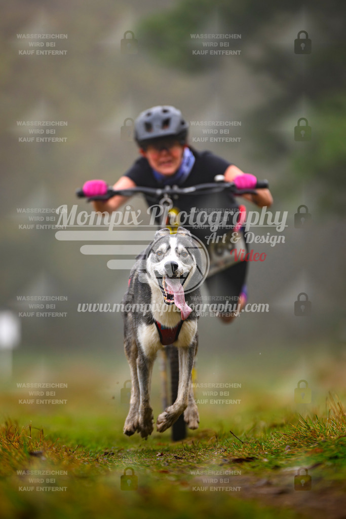 MompixPhotography_Bischwiller2025_Scooter-38 | mompixphotography