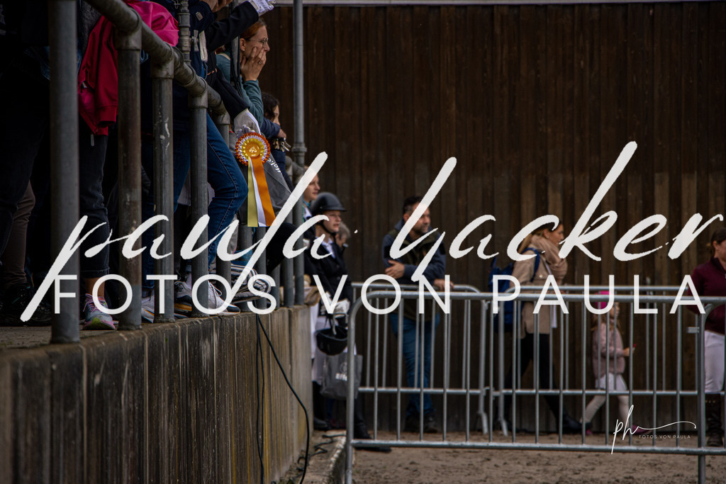 IMG_9525 | Erleben Sie dynamische Sport- und emotionale Tierfotografie in Süddeutschland mit Fotos von Paula. Spezialisiert auf Pferde- und Hundefotografie sowie Sportevents. Kontaktieren Sie mich für einzigartige und ausdrucksstarke Bilder Ihrer besonderen Momente. - Realisiert mit Pictrs.com