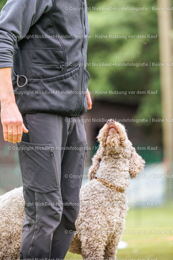 RO-Blumenthal-2026-Nickbest-Hundefotografie-4239 | Dein Hund! Dein Moment! Deine Erinnerungen! Hundefotografie in Bremen Blumenthal. Ich fange die besonderen Momente deines Vierbeiners ein – ob Indoor mit Blitzanlage oder in der freien Natur. Sicher dir dein Moment und dein Termin für eure Erinnerungen.