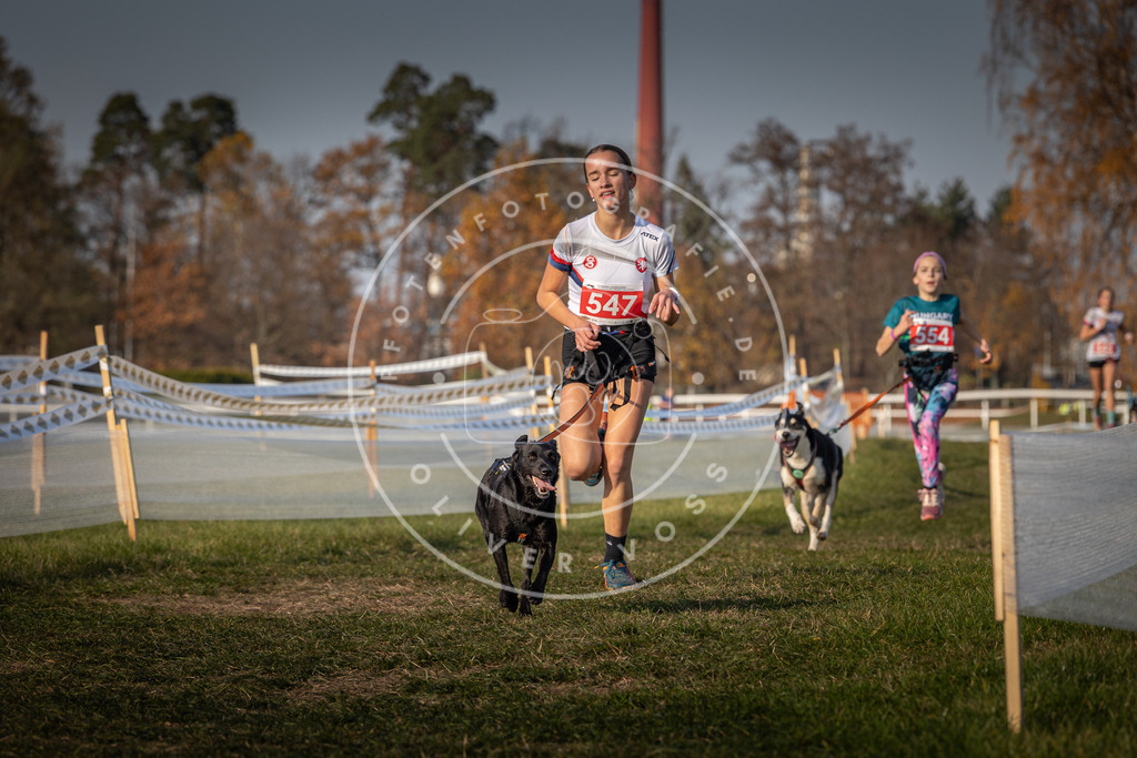 CaniXpix_0L8A9319 | Hundefotografie, Tierfotograf, Pfotenfotografie, Fotoshooting Hund, Hunde Portrait, Hundesport, Hundeportraits, Heideshooting, Hunde, Sportfotograf, Hundefotograf, Turnierhundsport, THS,  - Realisiert mit Pictrs.com