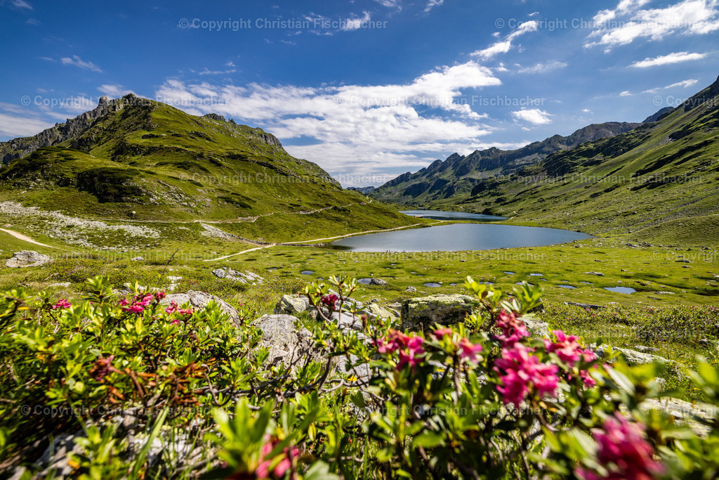 Fotos_Copyright_Chri_Fischbacher_Druck-531 | Bildershop Chri Fischbacher - Realisiert mit Pictrs.com