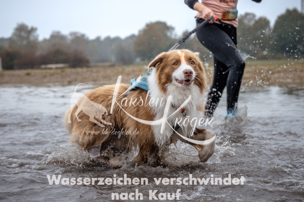 1003_ZZ97645 | kk-dogfotos