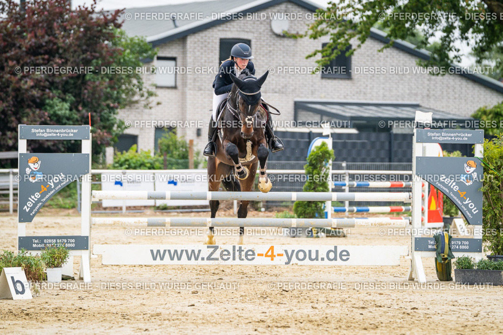 DSC00156 | Pferdegrafie