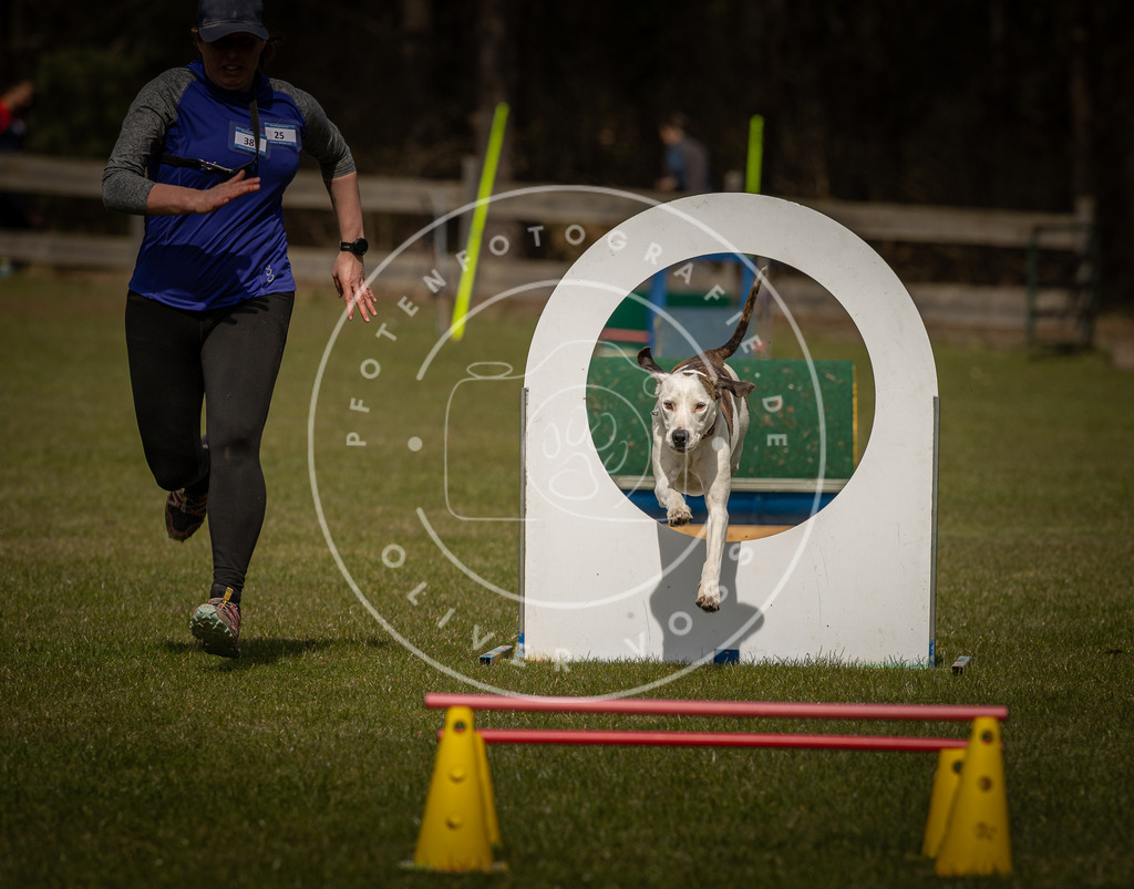 Pfotenfotografie_DV3A5545 | Hundefotografie, Tierfotograf, Pfotenfotografie, Fotoshooting Hund, Hunde Portrait, Hundesport, Hundeportraits, Heideshooting, Hunde, Sportfotograf, Hundefotograf, Turnierhundsport, THS,  - Realisiert mit Pictrs.com