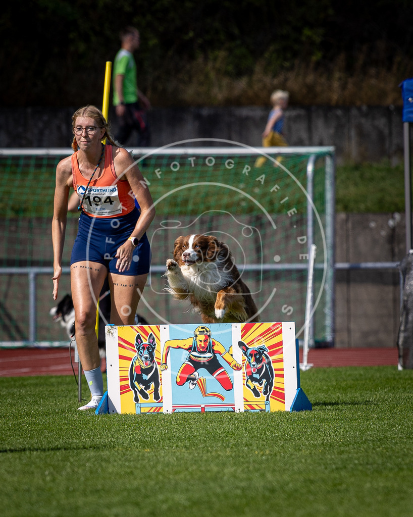 Pfotenfotografie_DV3A0682 | Hundefotografie, Tierfotograf, Pfotenfotografie, Fotoshooting Hund, Hunde Portrait, Hundesport, Hundeportraits, Heideshooting, Hunde, Sportfotograf, Hundefotograf, Turnierhundsport, THS,  - Realisiert mit Pictrs.com