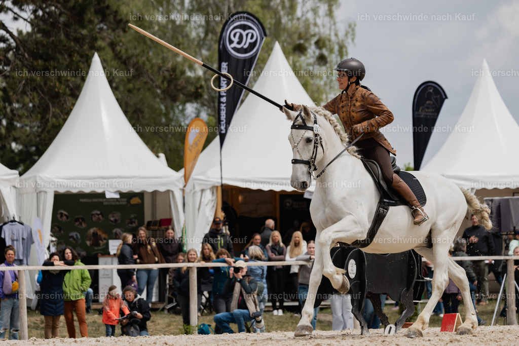 PI26_SP_StoibphotographyC2_C1477.jpg | working equitationturnier fotograf videograf stoibphotography marixx film working equitation deutschland reitsport turnierfotografie eventfotografie equestrian events