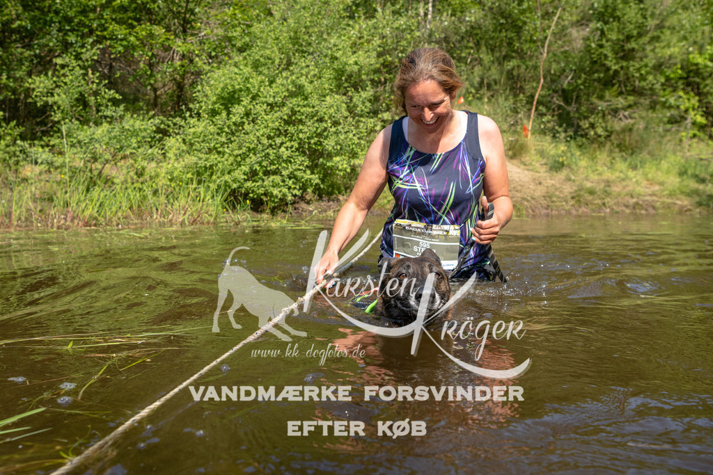 1013DKK990149 | kk-dogfotos