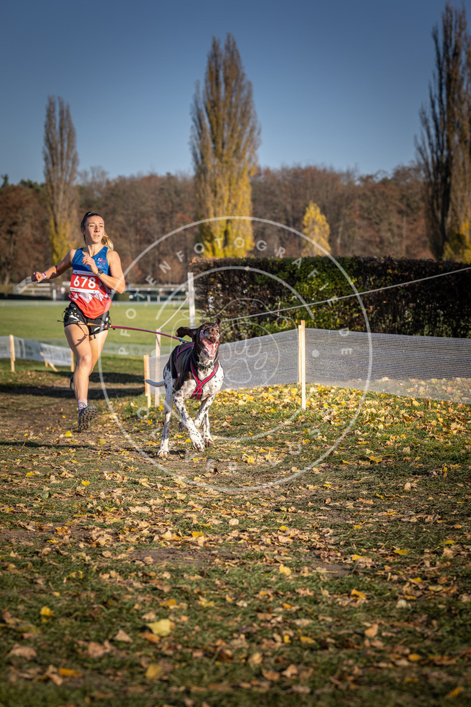 CaniXpix_DV3A1032 | Hundefotografie, Tierfotograf, Pfotenfotografie, Fotoshooting Hund, Hunde Portrait, Hundesport, Hundeportraits, Heideshooting, Hunde, Sportfotograf, Hundefotograf, Turnierhundsport, THS,  - Realisiert mit Pictrs.com