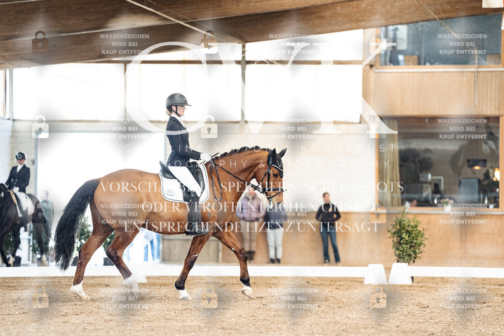 CK901089 | Turnierfotografie Pferdefotografie Trier Rheinland-Pfalz Pferdesport Reitsport Tierfotografie Sportfotografie Pferdevideo Pferdevideografie Equestrianvideography equestrianphotography  - Realisiert mit Pictrs.com