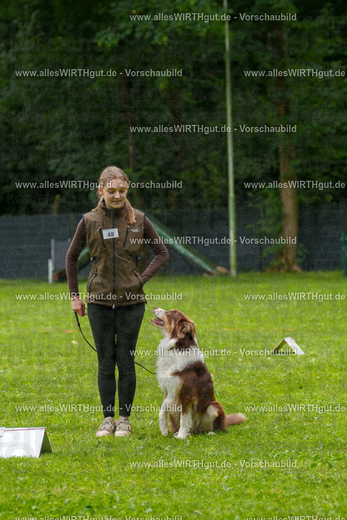 @allesWIRTHgut_Tierfotografie - www.allesWIRTHgut.de - 7R500551 | Professionelle Tierfotografie in Mönchengladbach von Daniel Wirth (allesWIRTHgut). Liebevolle & natürliche Bilder von Hunden & Katzen für unvergessliche Erinnerungen.