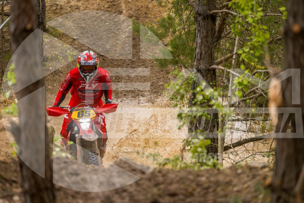 FAM_1981 | fullactionmedia-shop