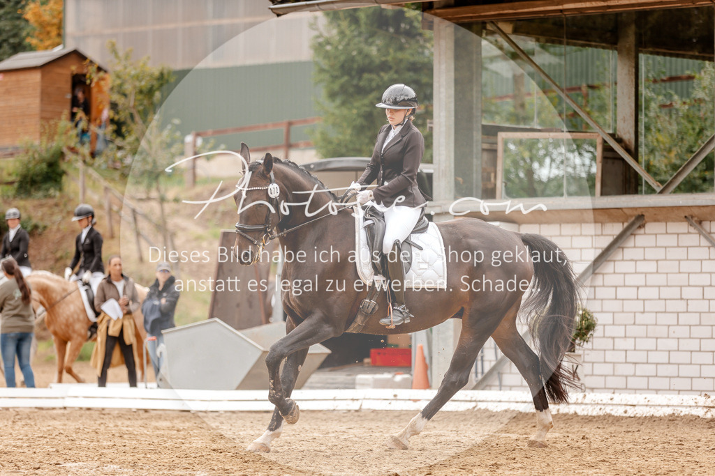 3I6A7702 | Stimmungsvolle Portraits und Reitsportfotografie im Ruhrgebiet und im Münsterland.

Pferdefotografie, Hundefotografie, Tierfotografie, Reportagen, Portraits von Tier und Mensch, Turnierfotografie in Bochum, Recklinghausen, Marl, Haltern am See, Dülmen.. - Realisiert mit Pictrs.com