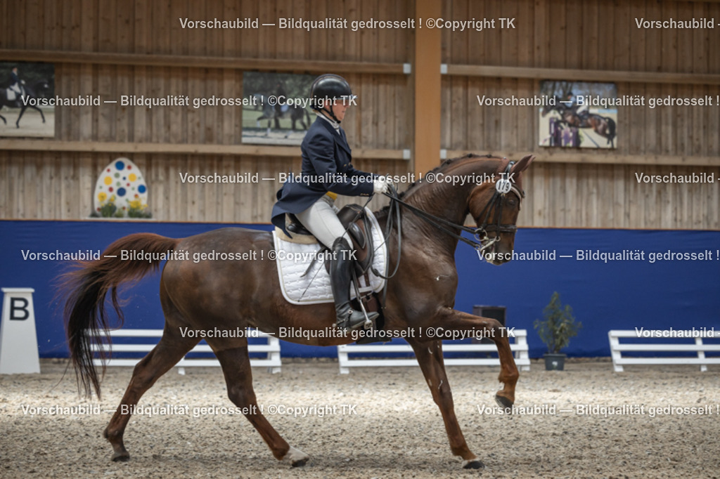 _D5A0204 | Emotionale Pferde- & People-Fotografie rund um Heidelberg, Leimen & Umgebung. Natürliche Fotos von Pferd, Mensch & Familie. Jetzt Termin sichern!