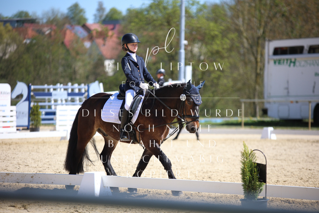 IMGT1314 | pl-fotografie