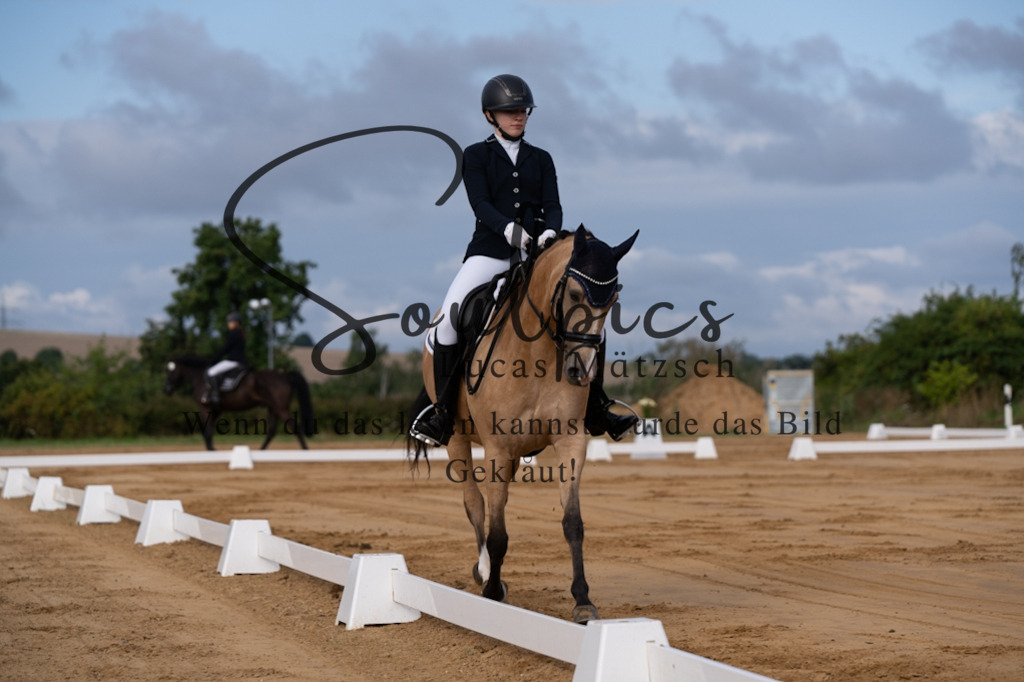 A7V05095 | Pferdefotograf