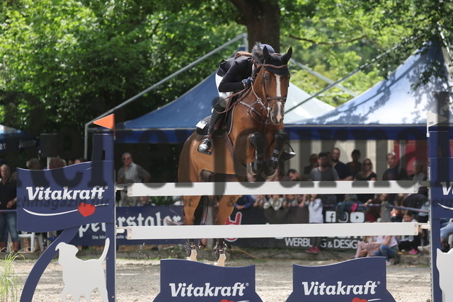 Ichenheim_2024_Prfg.Nr01_Springprfg_Kl.S_m.St._Kordula Christea_Chakka 6 (1) | Alle Fotos der Reiterjournal Fotografin Doris Matthaes im Reiterjournal Online-Fotoshop. - Realisiert mit Pictrs.com