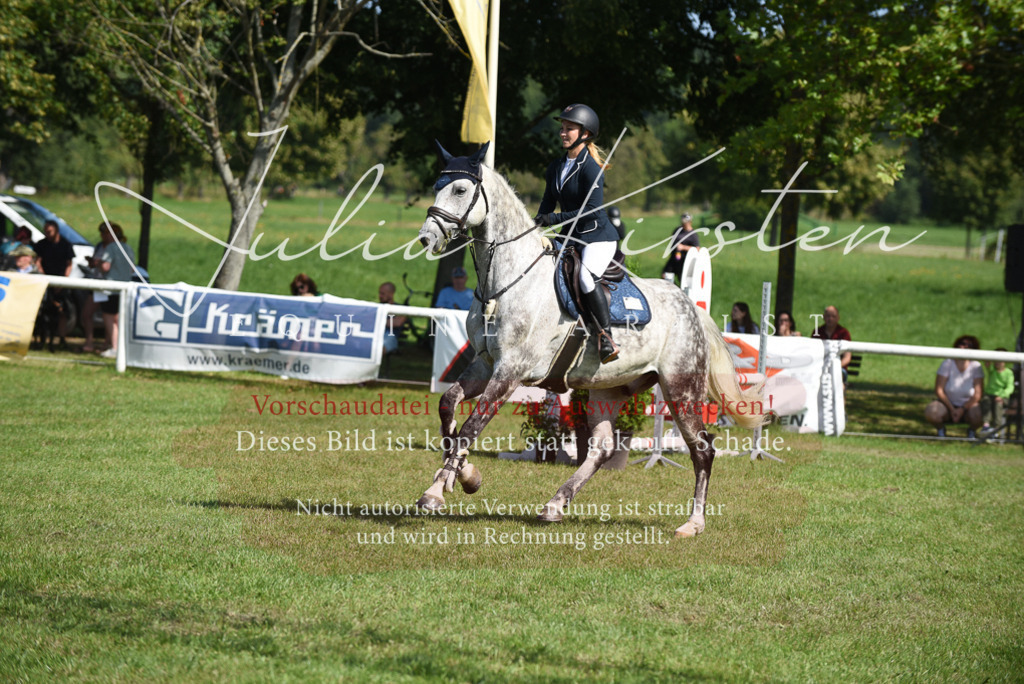 DSC_9135 | Pferde- und Turnierfotografie in Westsachsen. Pferdeportraits, Auftragszeichnungen und intuitive Kunst.