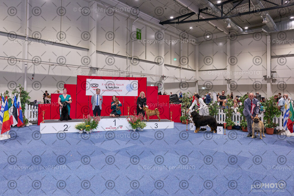 202406_ÖKV-IHA-Tulln24_NZ9_9502 | proPHOTO - Realisiert mit Pictrs.com