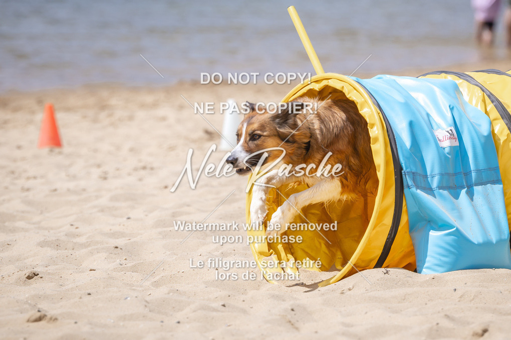 NR__2460 | nelerasche
