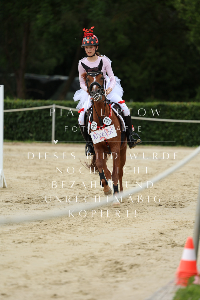 IMGM1132 | pl-fotografie