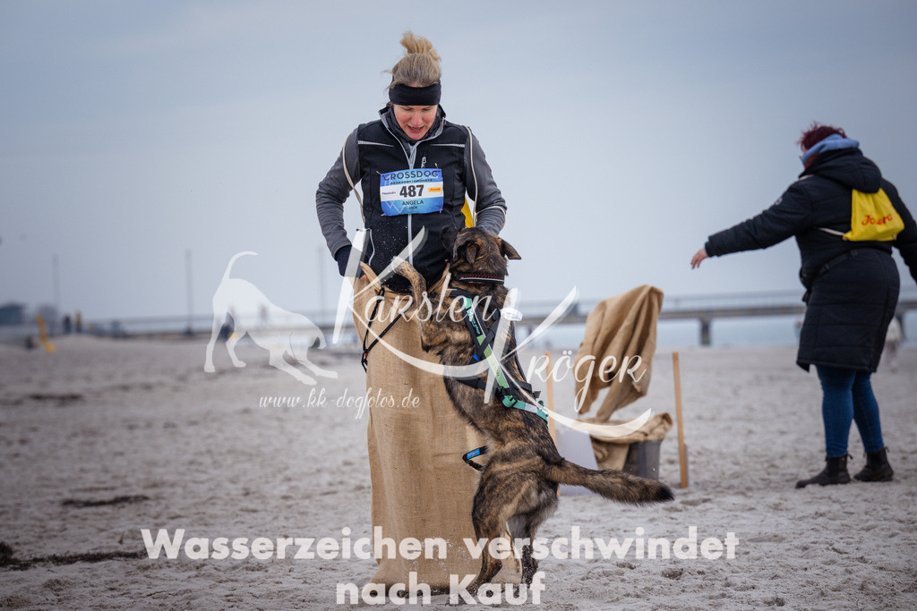 1205_ZZ91946 | kk-dogfotos