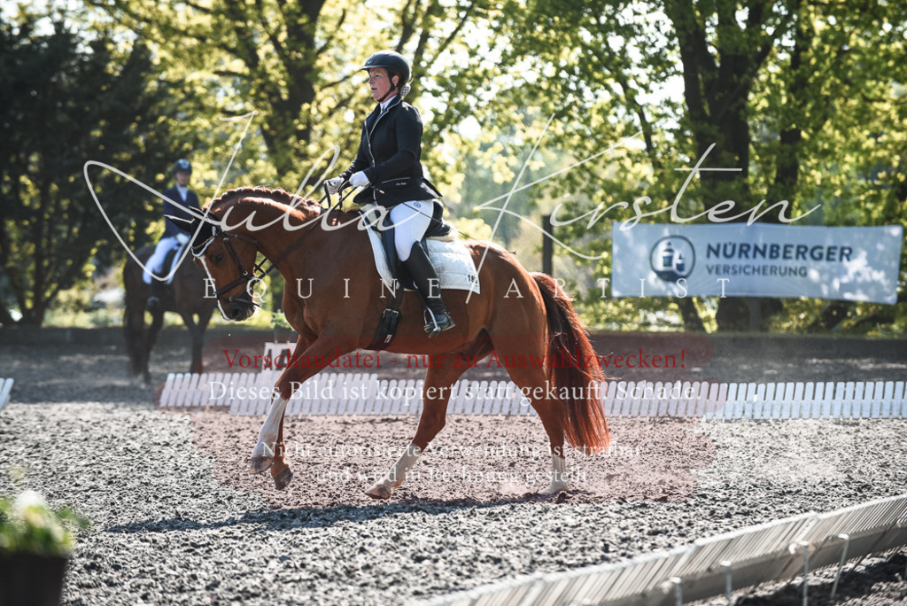 DSC_8756 | Pferde- und Turnierfotografie in Westsachsen. Pferdeportraits, Auftragszeichnungen und intuitive Kunst.