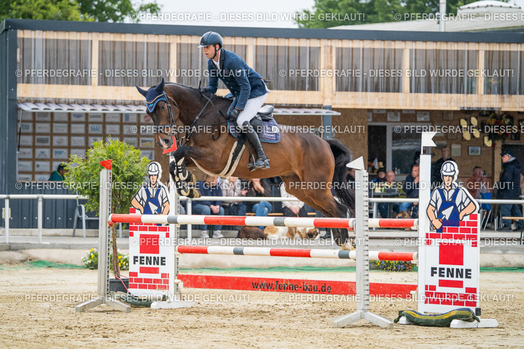 DSC01424 | Pferdegrafie