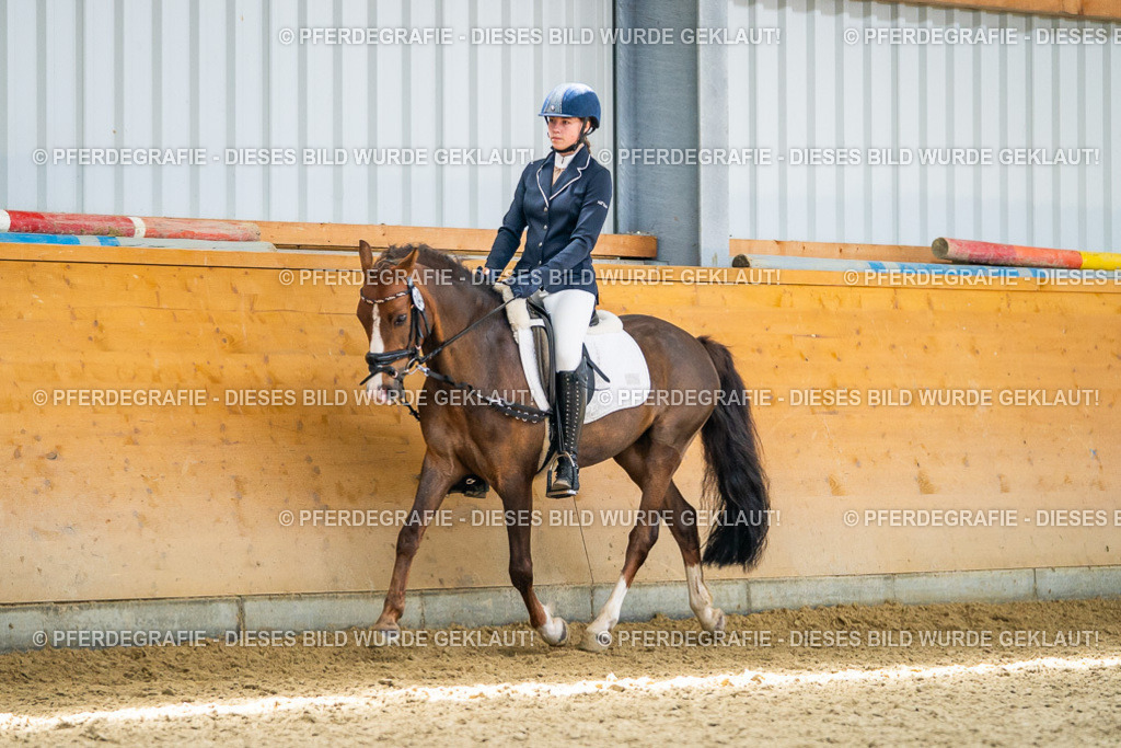 DSC03667 | Pferdegrafie