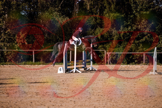 2026_10_03_Siefer-Hof_155001_Z81_68990965 | Professionelle Reitsport-, Turnier- und Eventfotografie von Robert Broda. Galerien mit ausgewählten und bearbeiteten Bildern direkt online ansehen und bestellen.