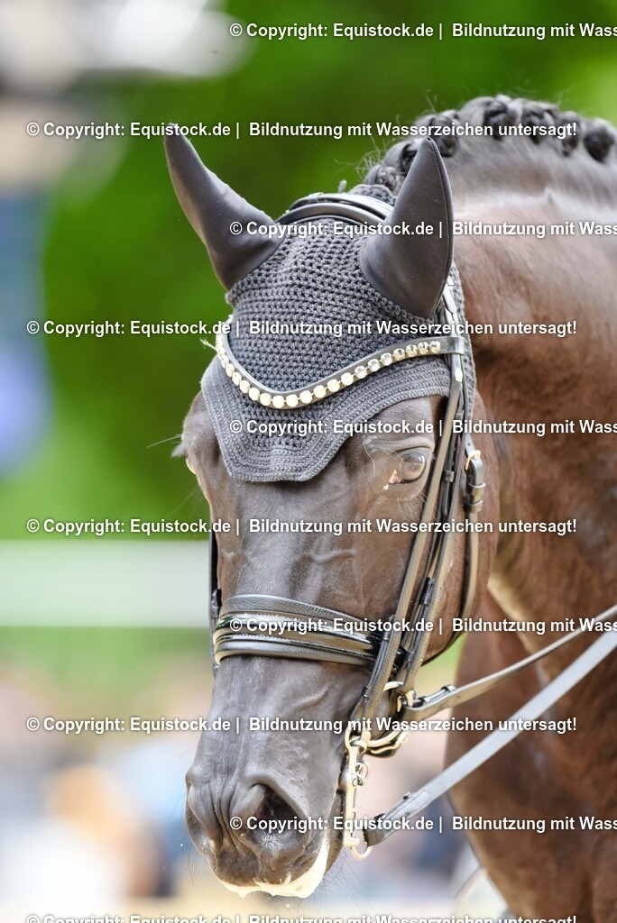 20250608_03_GP-Special-Tour_0587 | Foto: Thomas Hartig