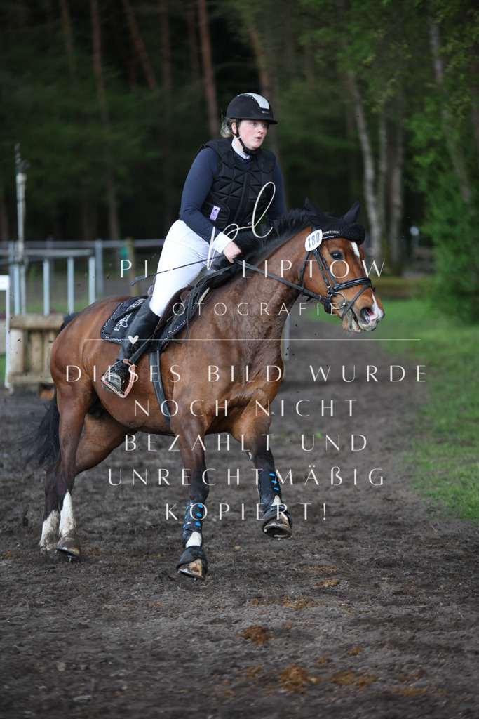 IMGT2093 | pl-fotografie