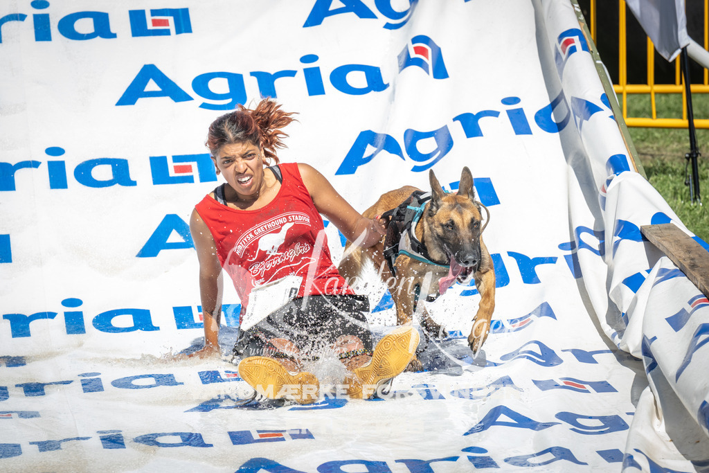 1449_ZZ96124 | kk-dogfotos