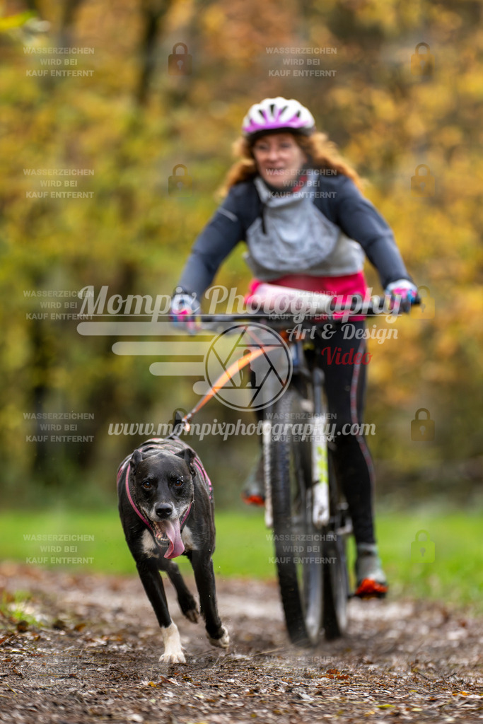 MompixPhotography_Bischwiller23_Bike-41 | PayLife