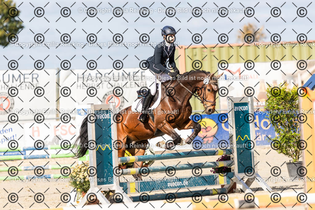 CL5A4135 | Emilia Reinking Fotografie - Realisiert mit Pictrs.com