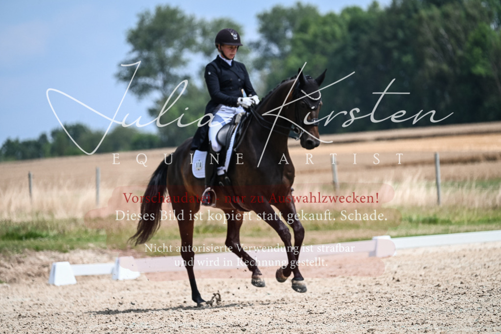 DSC_2613 | Pferde- und Turnierfotografie in Westsachsen. Pferdeportraits, Auftragszeichnungen und intuitive Kunst.