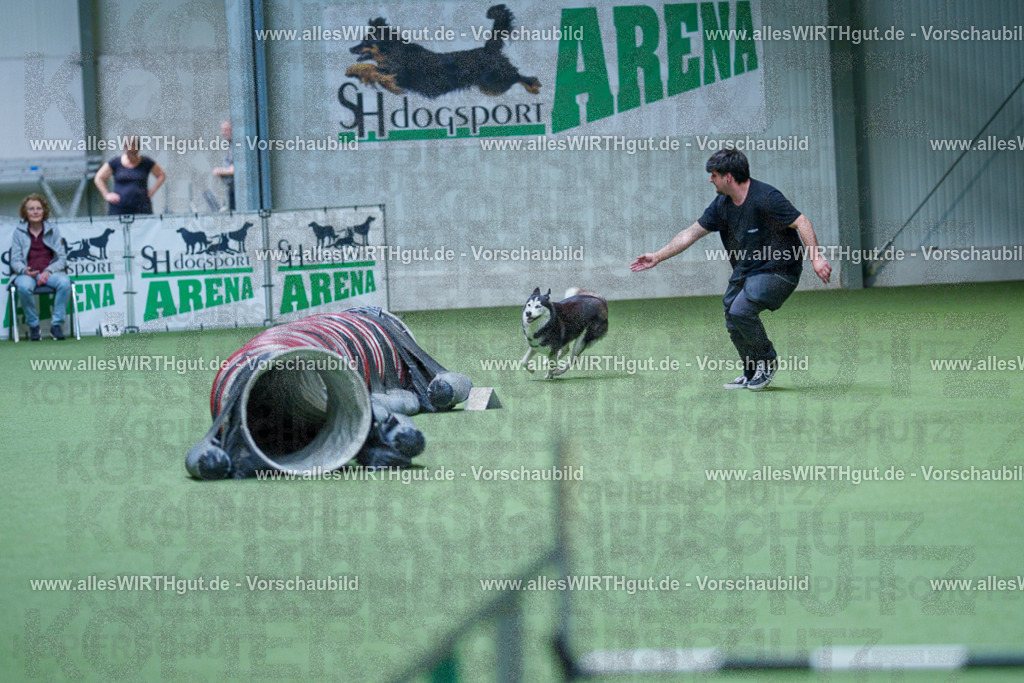 @allesWIRTHgut_Tierfotografie - www.allesWIRTHgut.de - 2604251549-7R506266 | Professionelle Tierfotografie in Mönchengladbach von Daniel Wirth (allesWIRTHgut). Liebevolle & natürliche Bilder von Hunden & Katzen für unvergessliche Erinnerungen.