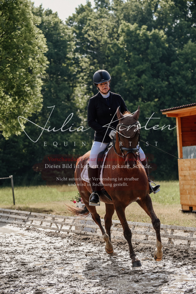 DSC_9243 | Pferde- und Turnierfotografie in Westsachsen. Pferdeportraits, Auftragszeichnungen und intuitive Kunst.