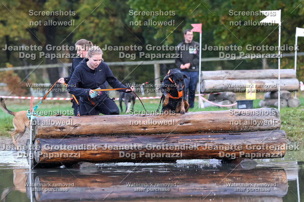 Dog Paparazzi - Strongdog 10-25-6567 | Dog Paparazzi Jeanette Grottendiek Fotografie & Videografie - Realisiert mit Pictrs.com