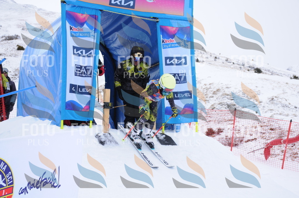 DSC_8243 | holidayphoto