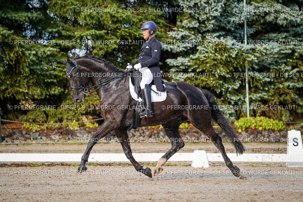 DSC00421 | Pferdegrafie