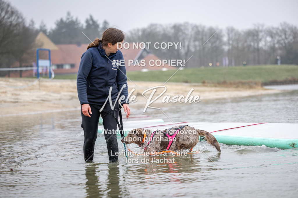 nelerasche_Hulsbeek_Sa1030-1100_72 | nelerasche