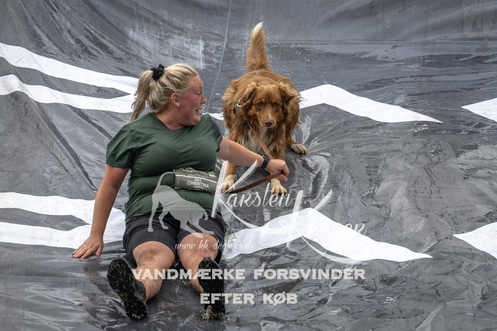 1558_ZZ91787 | kk-dogfotos
