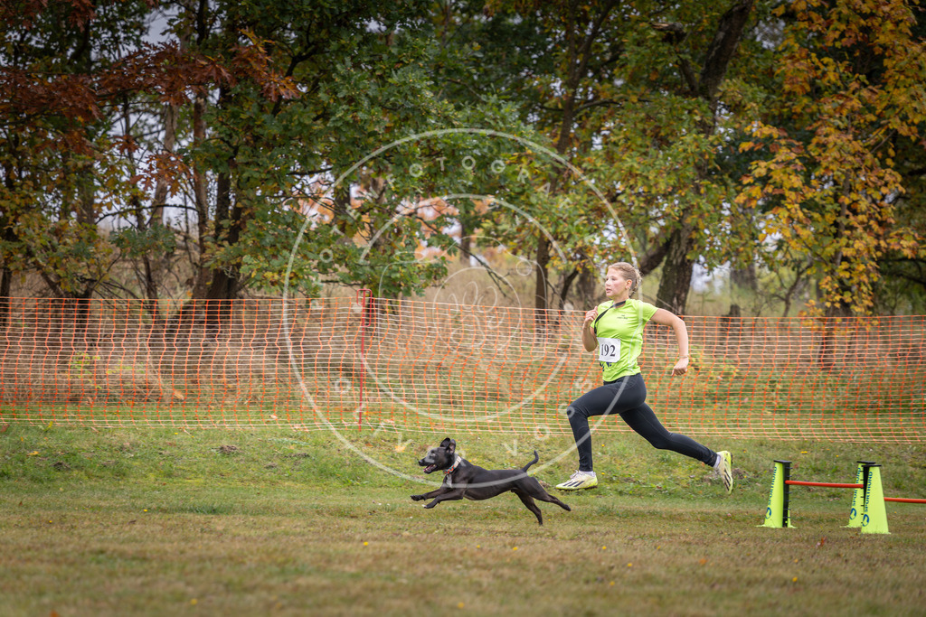 Pfotenfotografie_DV3A1274 | Hundefotografie, Tierfotograf, Pfotenfotografie, Fotoshooting Hund, Hunde Portrait, Hundesport, Hundeportraits, Heideshooting, Hunde, Sportfotograf, Hundefotograf, Turnierhundsport, THS,  - Realisiert mit Pictrs.com