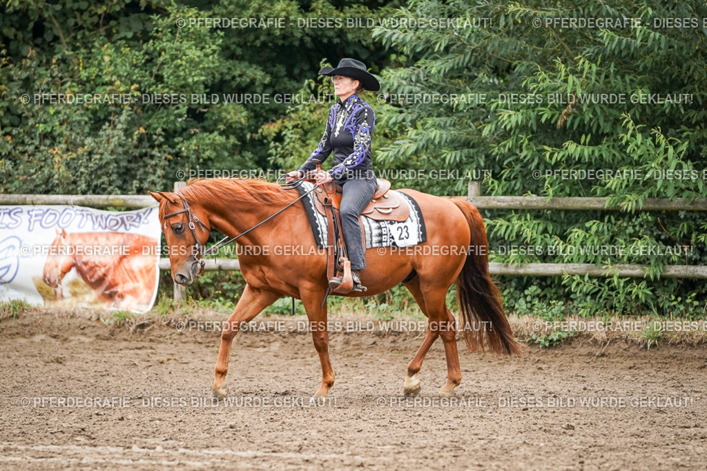 DSC03671 | Pferdegrafie