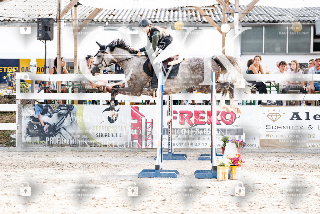 CK906616 | Turnierfotografie Pferdefotografie Trier Rheinland-Pfalz Pferdesport Reitsport Tierfotografie Sportfotografie Pferdevideo Pferdevideografie Equestrianvideography equestrianphotography  - Realisiert mit Pictrs.com