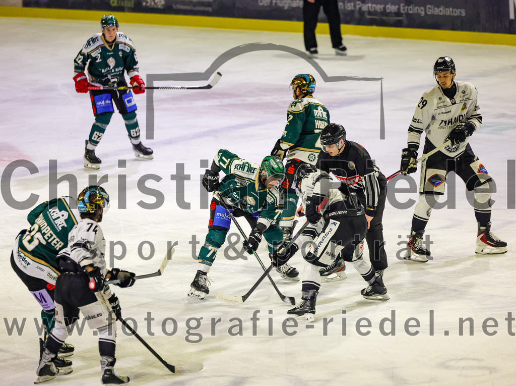 2026-01-30_035_TSV_Erding_gegen_EHF_Passau_Black_Hawks | Erding, Deutschland, 30.01.2026:Eishockey, Oberliga Süd 2025 / 2026, 42. Spieltag, TSV Erding gegen EHF Passau Black Hawks, Endergebnis: 2:6Marc Schmidpeter (Erding Gladiators, #33), Cristian Achim (Erding Gladiators, #62), Philipp Michl (Erding Gladiators, #77), Zack Nazzarett (EHF Passau Black Hawks, #12), Grady Hobbs (Erding Gladiators, #22), Carl Larsson (EHF Passau Black Hawks, #29)Foto: Christian Riedel / fotografie-riedel.net