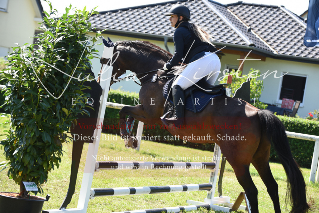 DSC_9397 | Pferde- und Turnierfotografie in Westsachsen. Pferdeportraits, Auftragszeichnungen und intuitive Kunst.